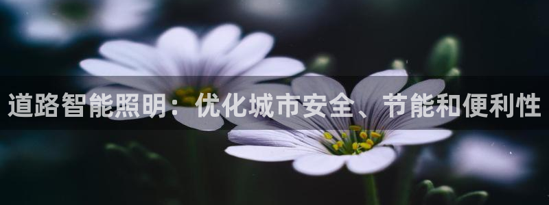 云顶国际黑款