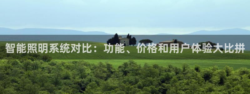 云顶dj