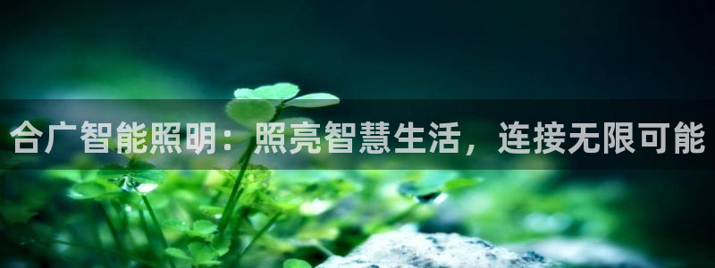 云顶国际大酒店位于