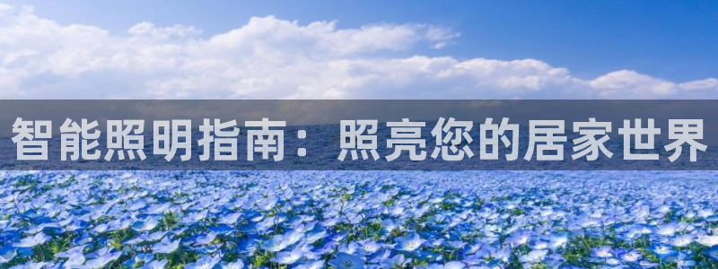 云顶集团总裁