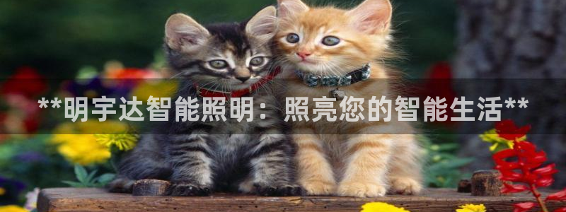 云顶集团3118app