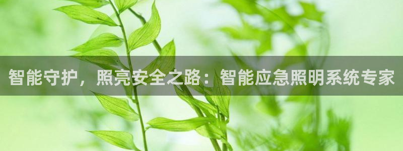 云顶国际服s9更新时间