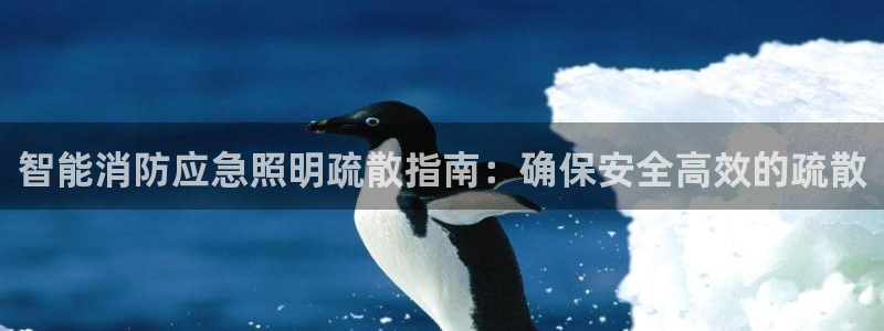 云顶yd官网2021