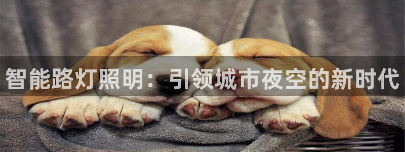 云顶国际集团游戏