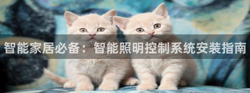 云顶国际官网app下载苹果
