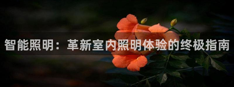 云顶国际APP