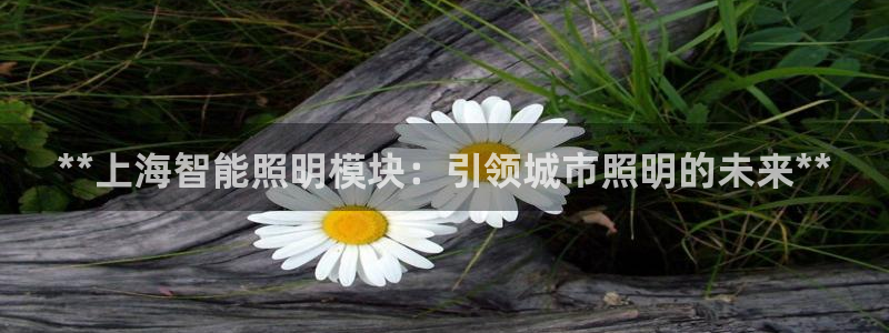 云顶集团公司官网