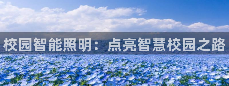 云顶国际app官方下载安装