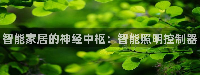 云顶国际宴会中心坐几路公交车