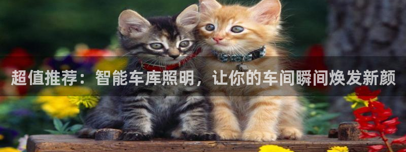 云顶国际老板是谁啊