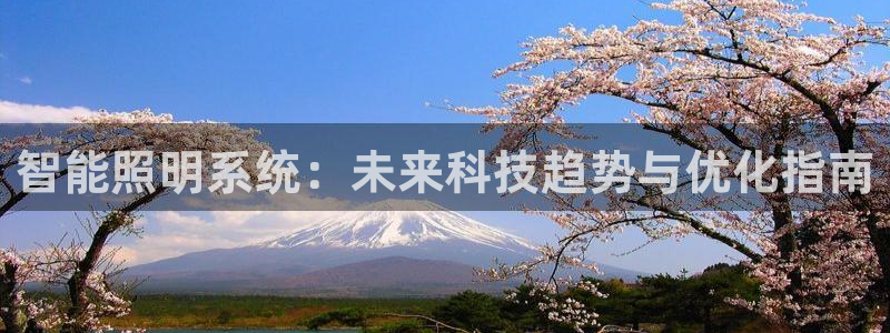 云顶集团app免费下载安装