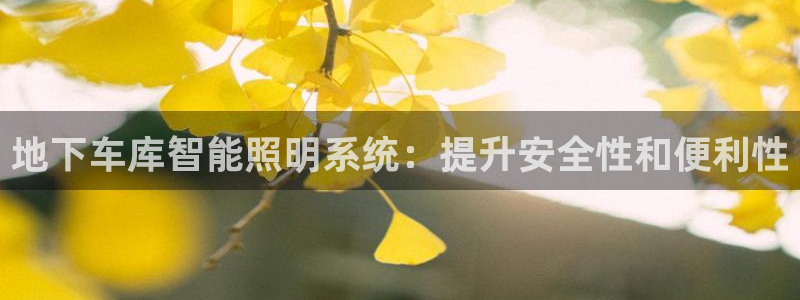 云顶国际服更新了吗