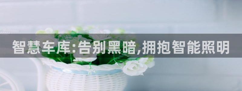 云顶集团王天才简介