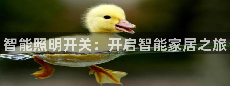 云顶国际服