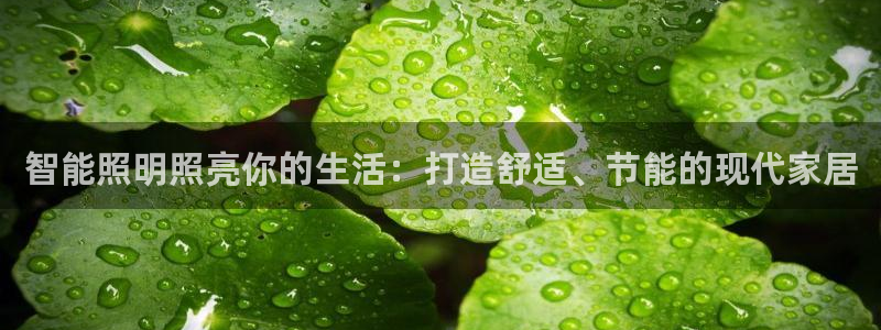 云顶集团有限公司招聘