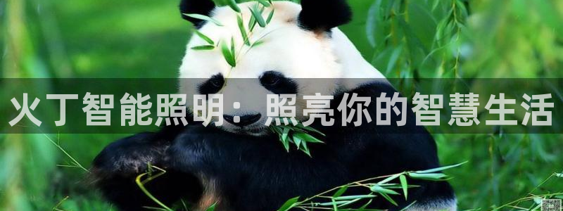 云顶国际集团开发有限公司