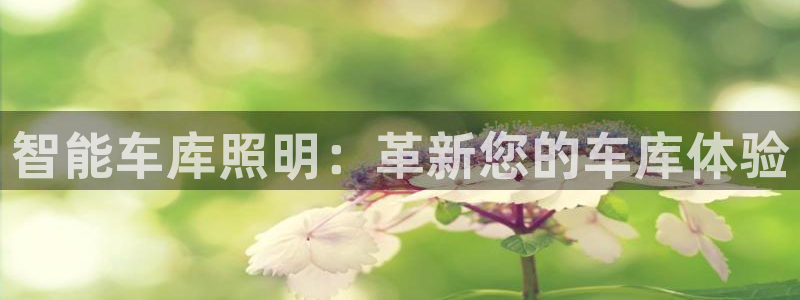 云顶集团总裁
