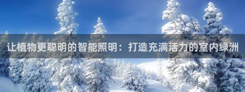 云顶国际服和端游互通吗