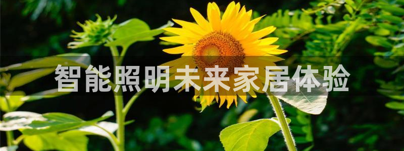 云顶集团中国区总裁