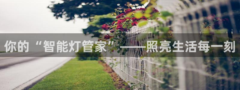 云顶国际77026