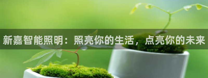 云顶国际服s9什么时候更新的