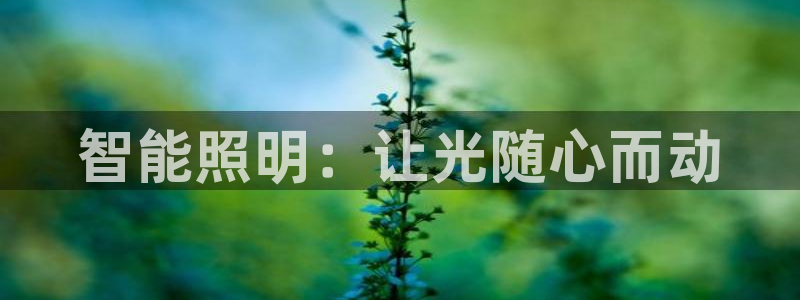 云顶国际游戏平台官网