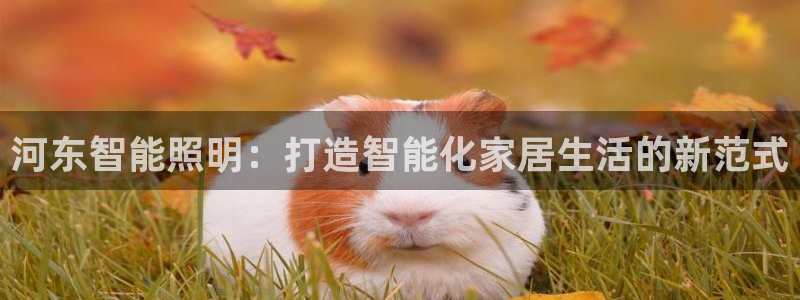 云顶集团