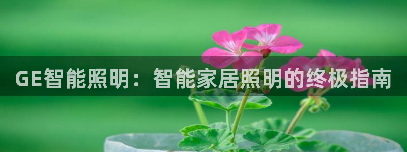 云顶国际是个什么网站