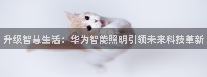 云顶国际旅行社