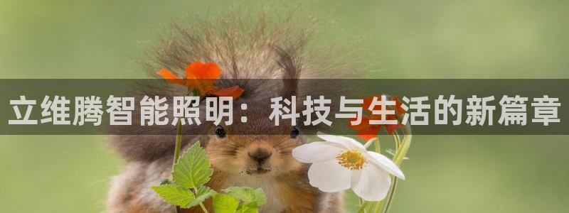 云顶国际物流官网