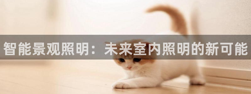 上海云顶国际商业广场