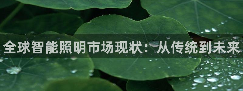 云顶国际平台是真的吗