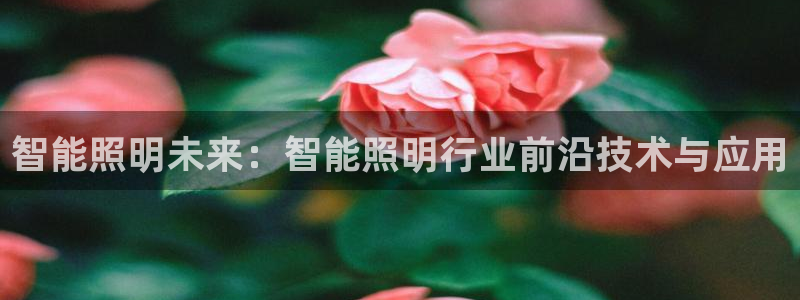 云顶国际俱乐部是干嘛的