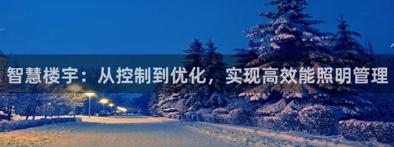云顶集团林致华
