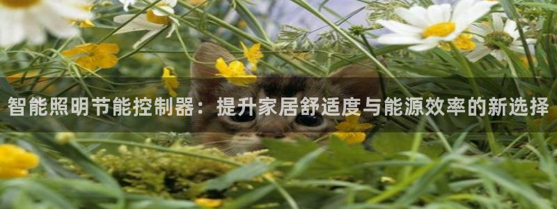 云顶国际是个什么平台