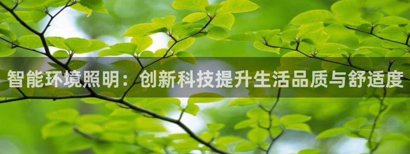 云顶国际服什么时候更新的