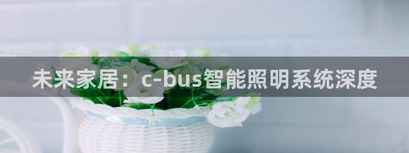 云顶游戏官网网址