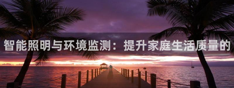 云顶国际服s11