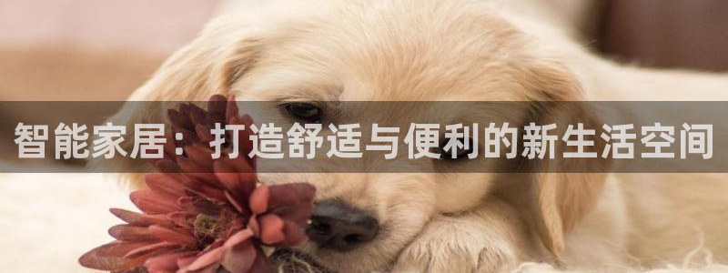 云顶ktv国际会所