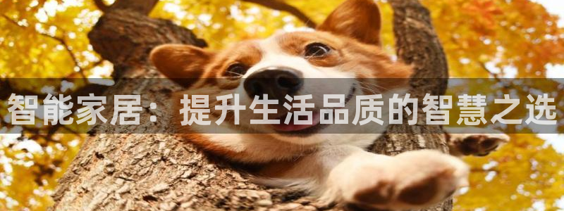 云顶国际