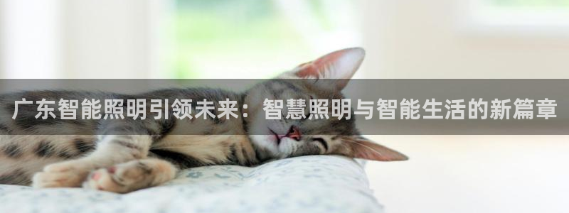 云顶国际商业广场 停车费怎么收