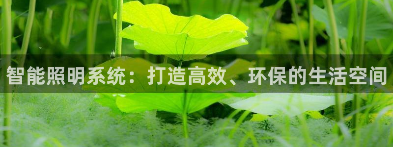 云顶国际物流官网电话
