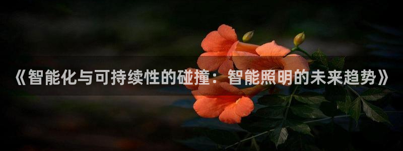 云顶国际晟荣协会会长是谁