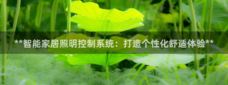 云顶国际服什么时候更新赛季