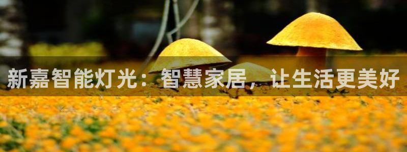 云顶国际服账号交易