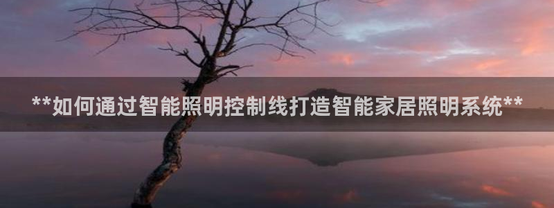 云顶网站是多少