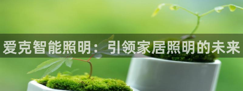 云顶国际服s9什么时候更新的