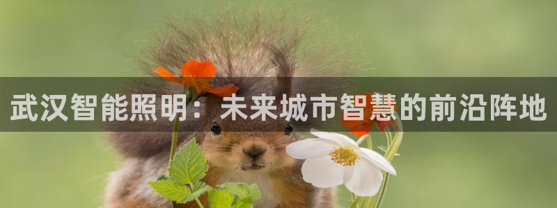 云顶国际体育官方网站入口