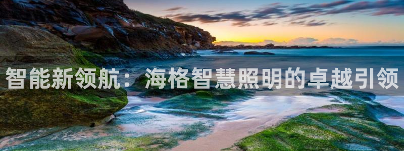 云顶集团rt电子游戏