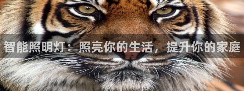 云顶国际服什么时候更新s10